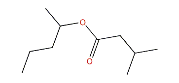 1-Methylbutyl 3-methylbutanoate